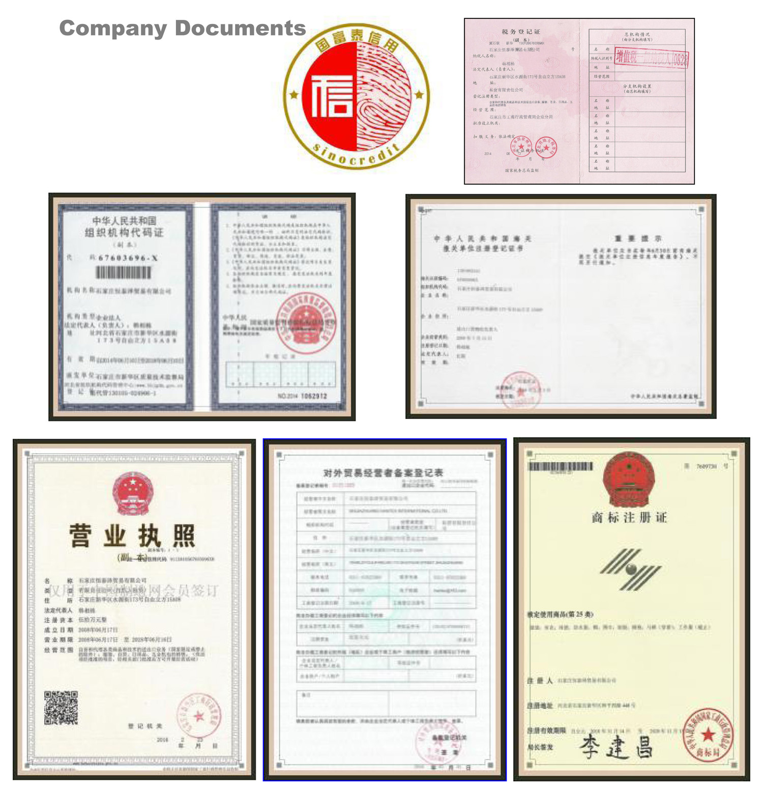 1 Company Documents