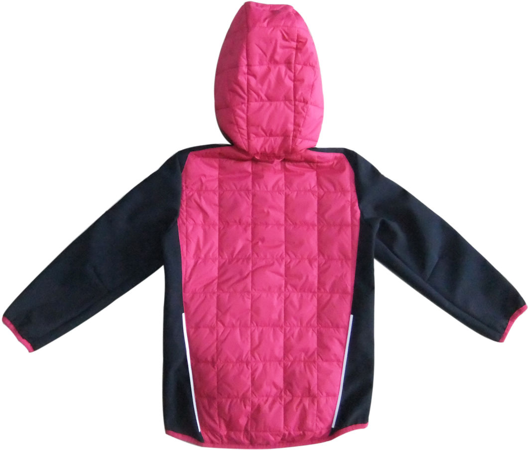 Wholesale Clothing Outdoor Softshell Winter Jacket Kid